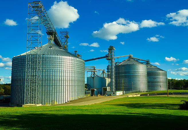 Manufacturing - Food & Beverage Industry Grain Silo